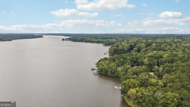 an aerial view of a house with a yard and lake view