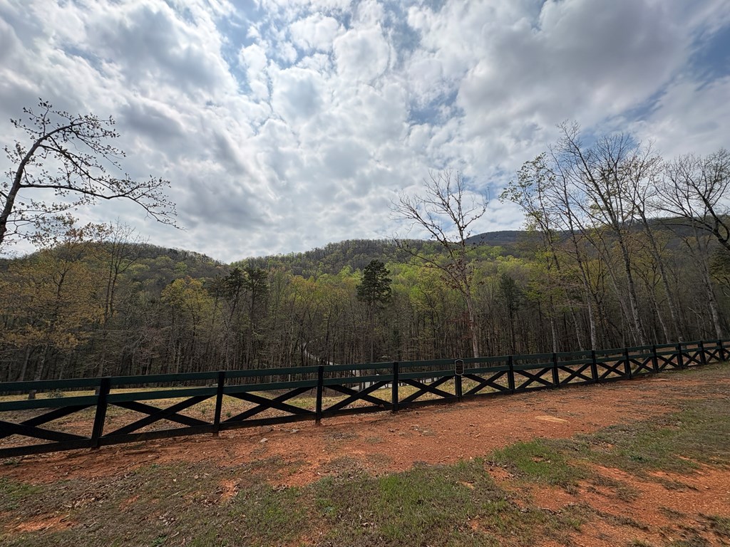 21 Yonah Mountain Road Cleveland, GA 30528 - Photo 12 of 16