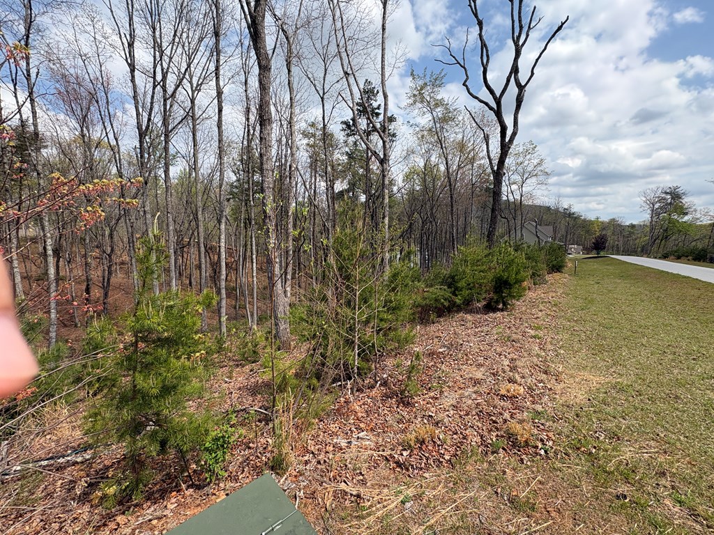 21 Yonah Mountain Road Cleveland, GA 30528 - Photo 3 of 16
