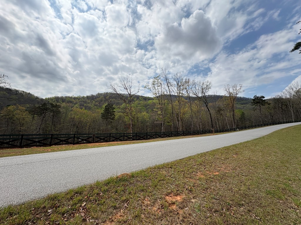 21 Yonah Mountain Road Cleveland, GA 30528 - Photo 6 of 16