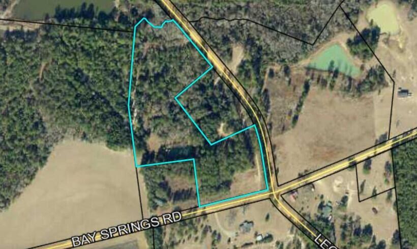 0 Bay Springs Road Adrian, GA 31002 - Photo 4 of 4 Pic