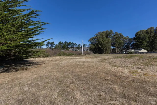 a view of a field with trees in background