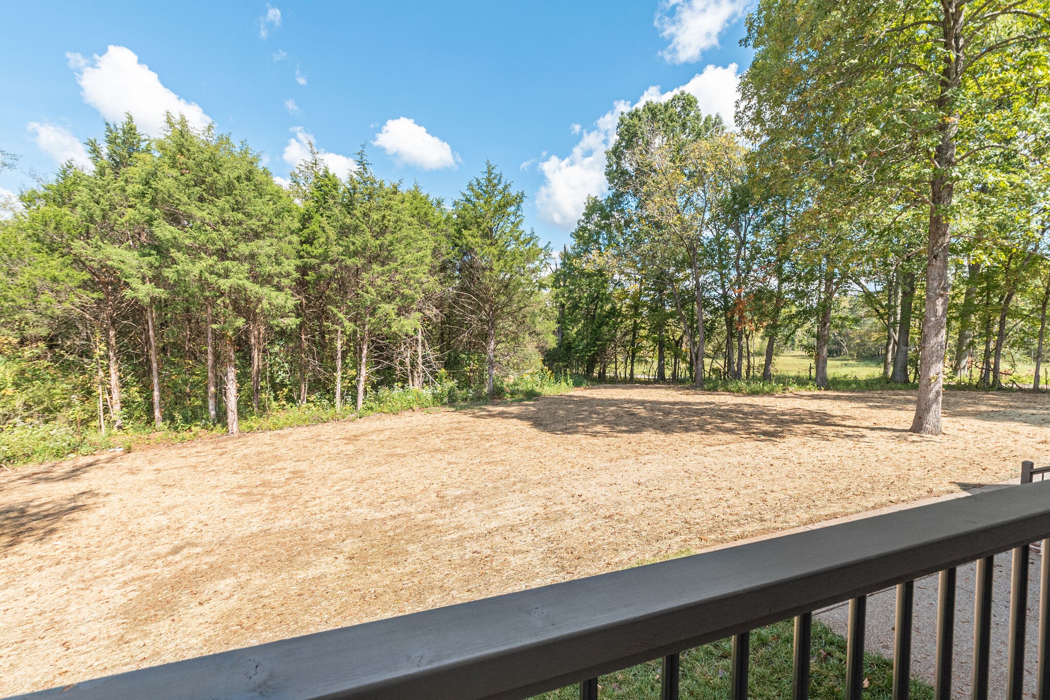 1497 Phillips Road Lebanon, TN 37087 - Photo 42 of 43 a view of back yard of the house