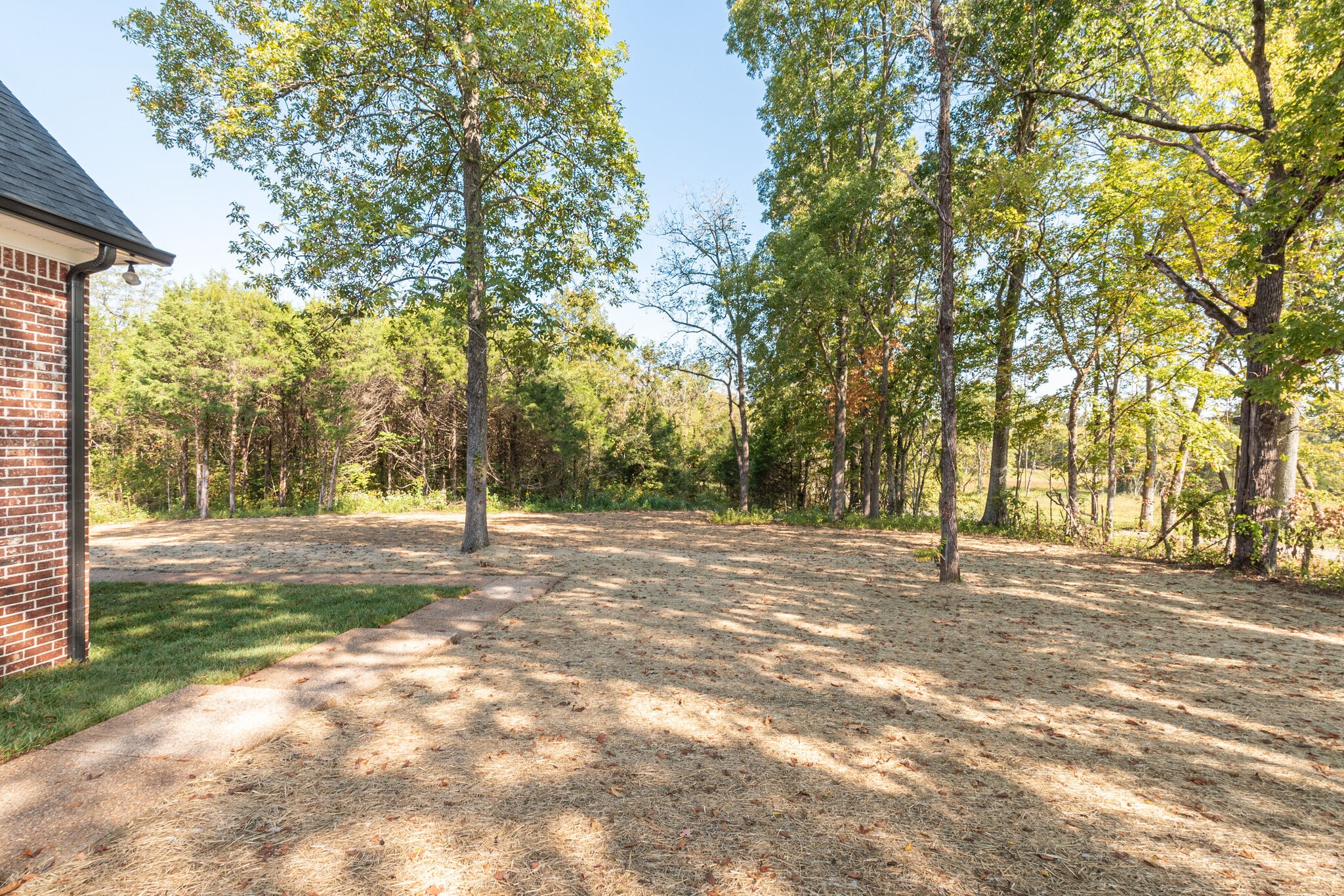 1497 Phillips Road Lebanon, TN 37087 - Photo 43 of 43 a view of a yard with large trees