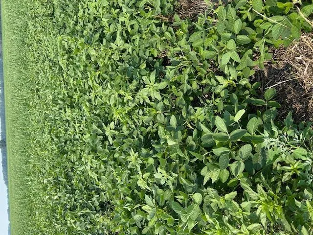 $480,000 | 0 Center Street East, Thief River Falls, MN 56701