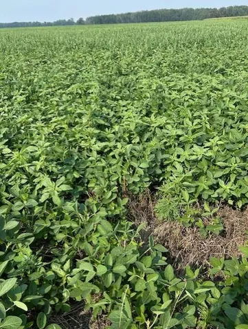 $480,000 | 0 Center Street East, Thief River Falls, MN 56701