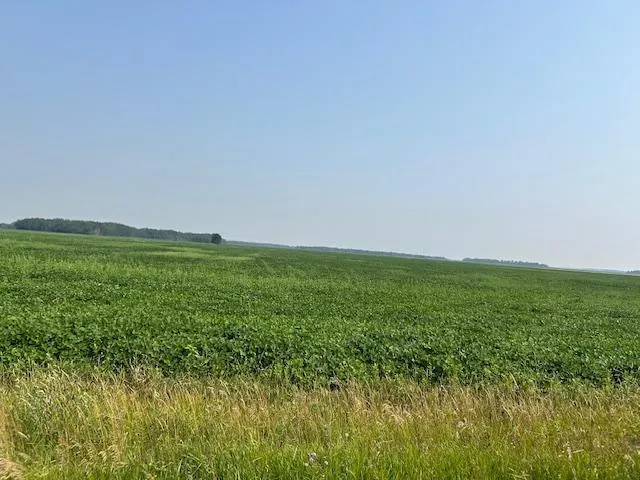 $480,000 | 0 Center Street East, Thief River Falls, MN 56701