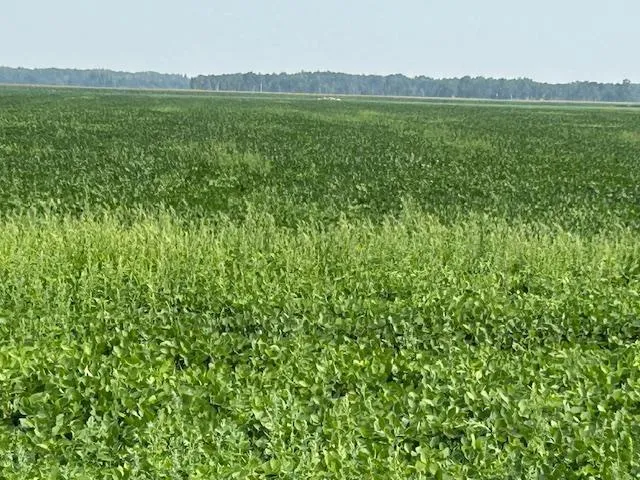 $480,000 | 0 Center Street East, Thief River Falls, MN 56701