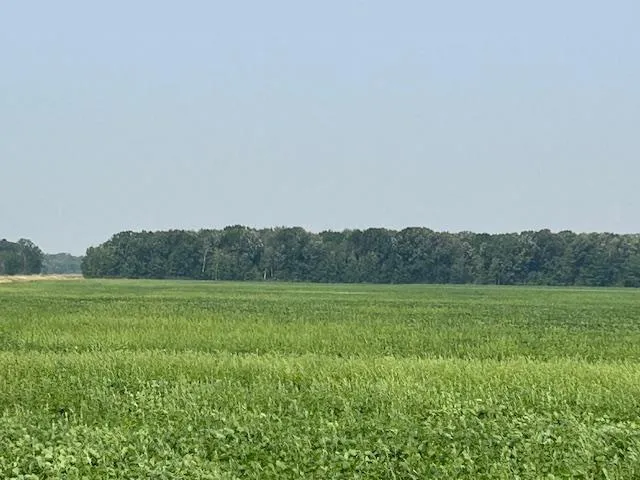 $480,000 | 0 Center Street East, Thief River Falls, MN 56701