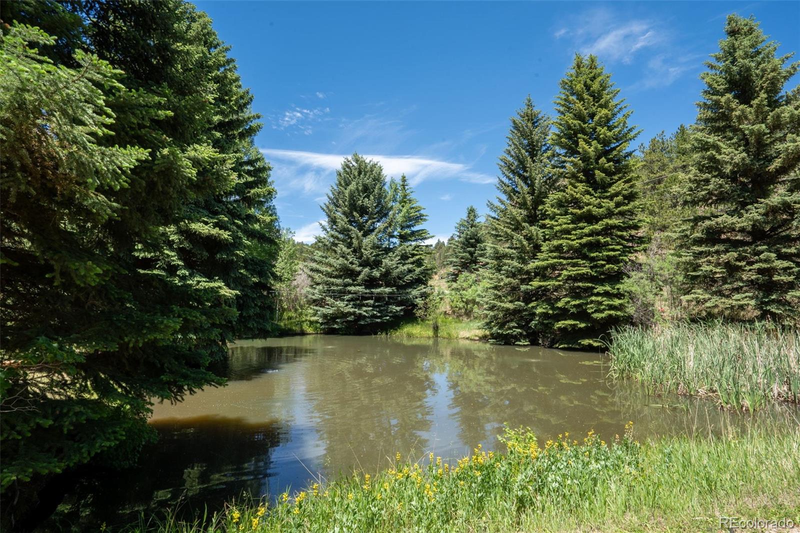 384 Brookside Drive Bailey, CO 80421 - Photo 40 of 50
