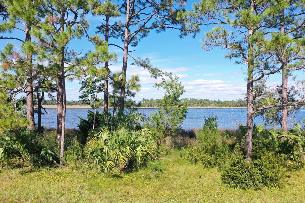 183 River Road Carrabelle, FL 32322 - Photo 17 of 24 Gallery Image 17