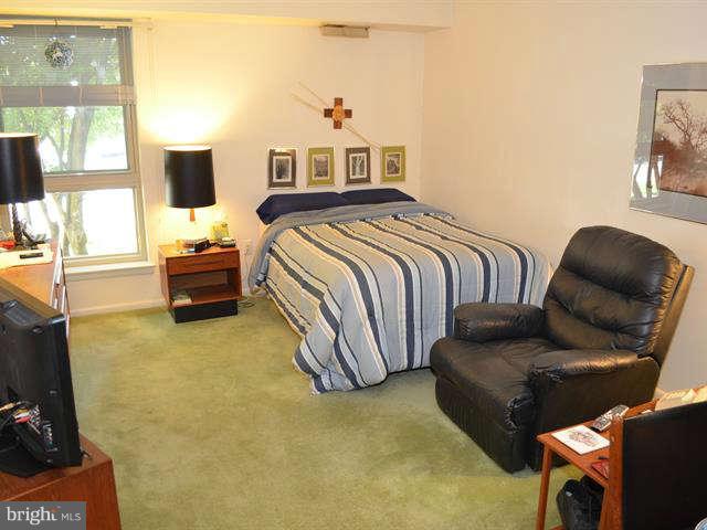 2203 Greenery Lane, Unit 10110 Silver Spring, MD 20906 - Photo 14 of 14 Bedroom (Master)