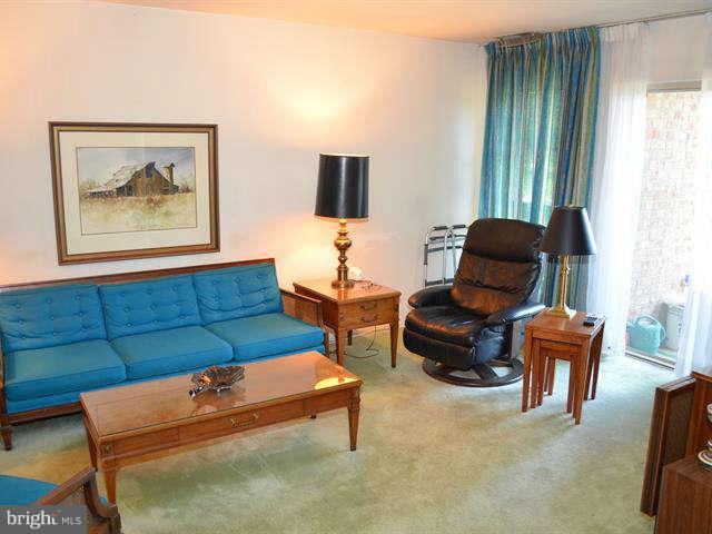 2203 Greenery Lane, Unit 10110 Silver Spring, MD 20906 - Photo 3 of 14 Living Room