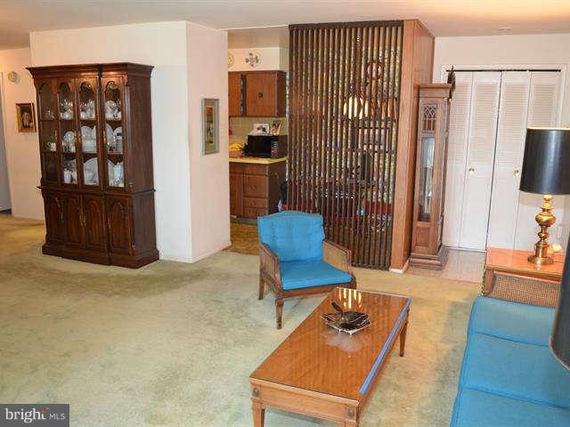 2203 Greenery Lane, Unit 10110 Silver Spring, MD 20906 - Photo 5 of 14 Living Room