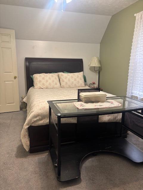 331 Briley Road Spring City, TN 37381 - Photo 23 of 32 IMG_0893