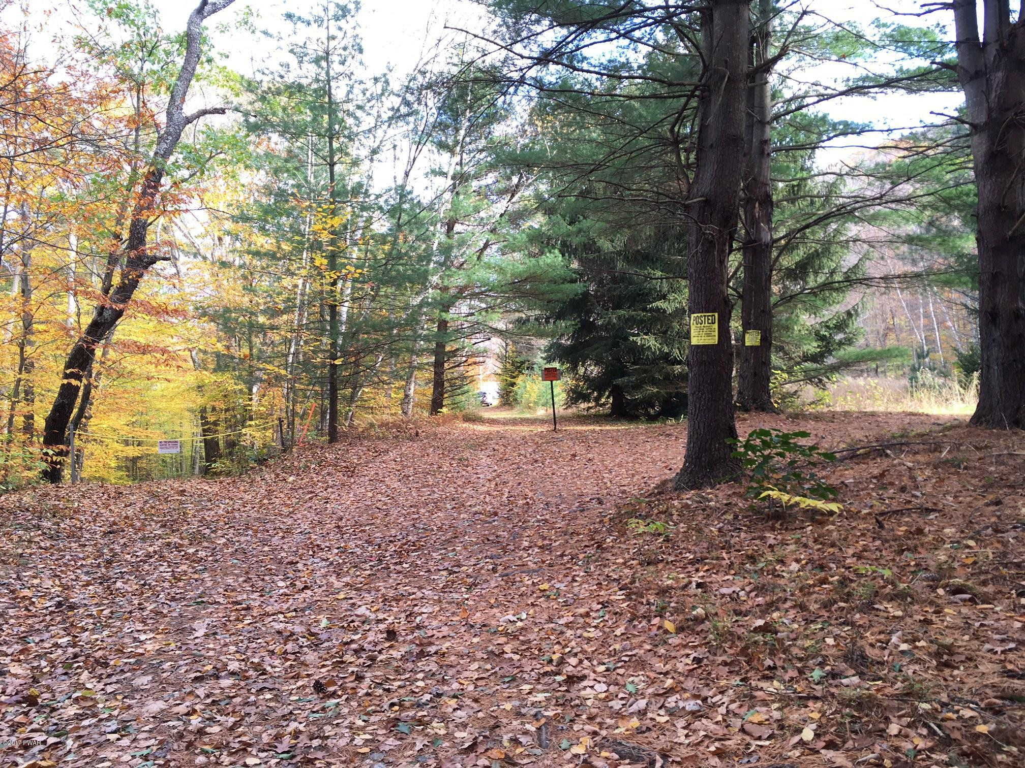 896 Peters Road Hancock, NY 13783 - Photo 5 of 11