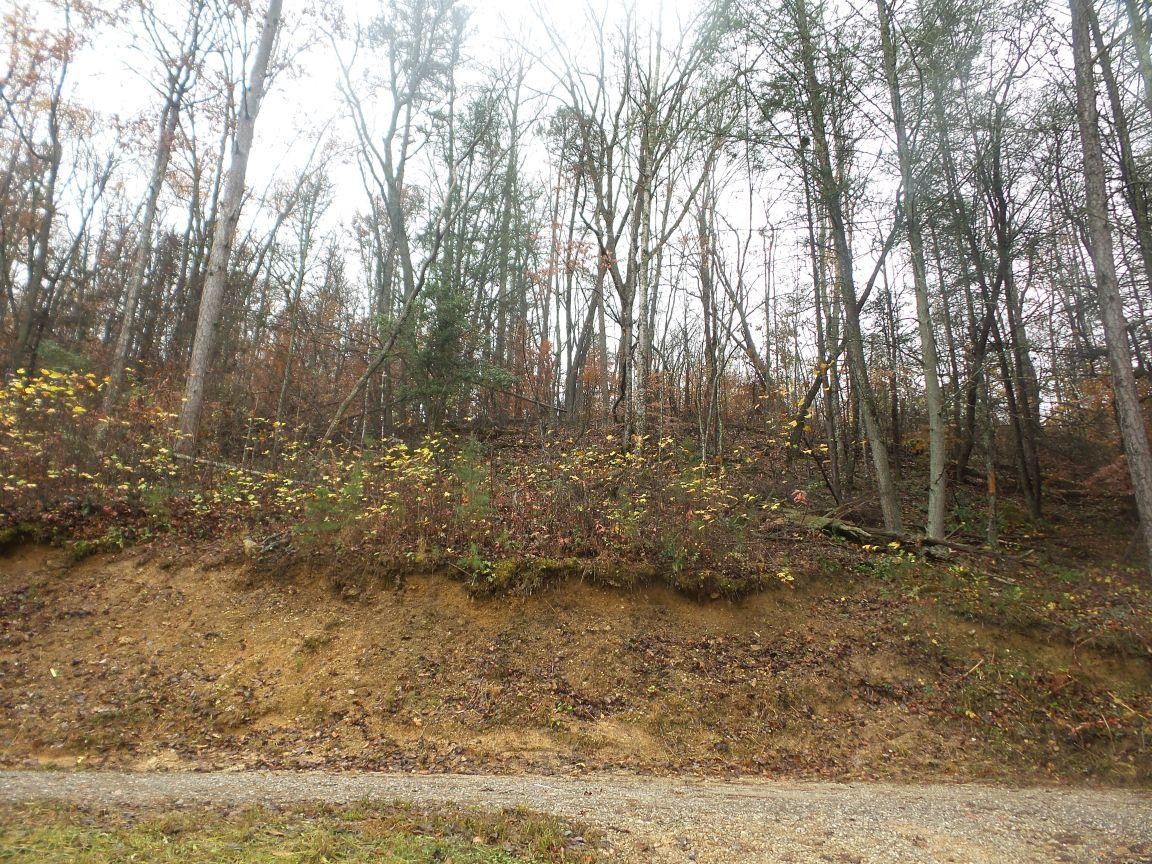 1918 Demory Road La Follette, TN 37766 - Photo 29 of 31 Gallery Image 29
