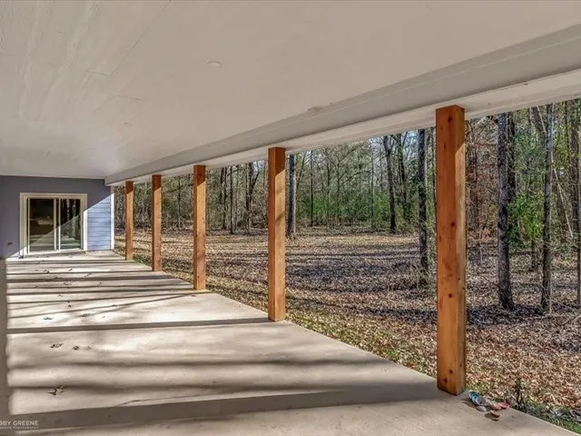 a view of a forest with trees