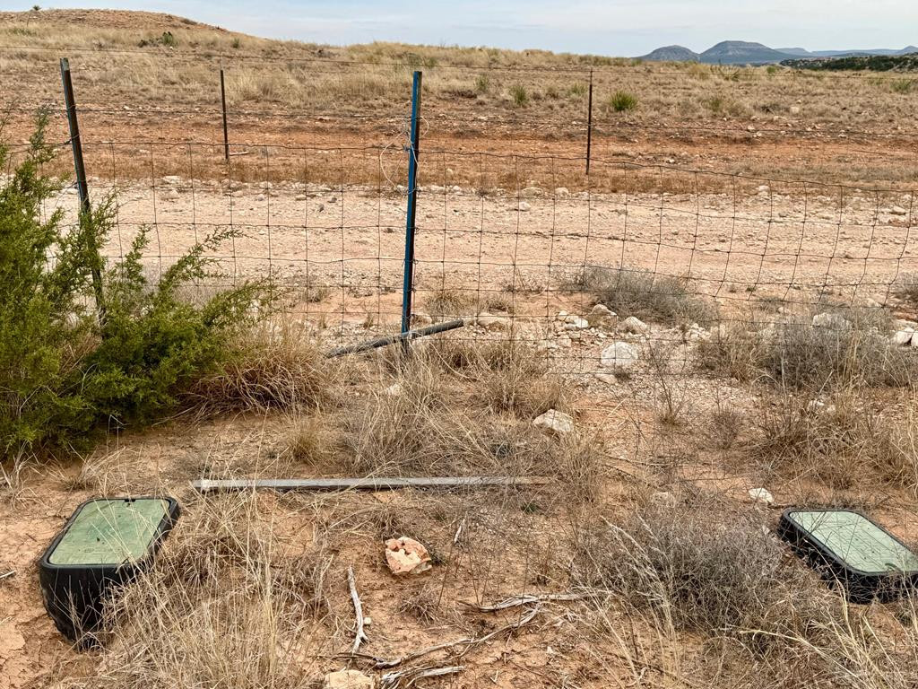 537 Lone Mills Road Robert Lee, TX 76945 - Photo 21 of 24 East Fenceline with the Coke Co. W