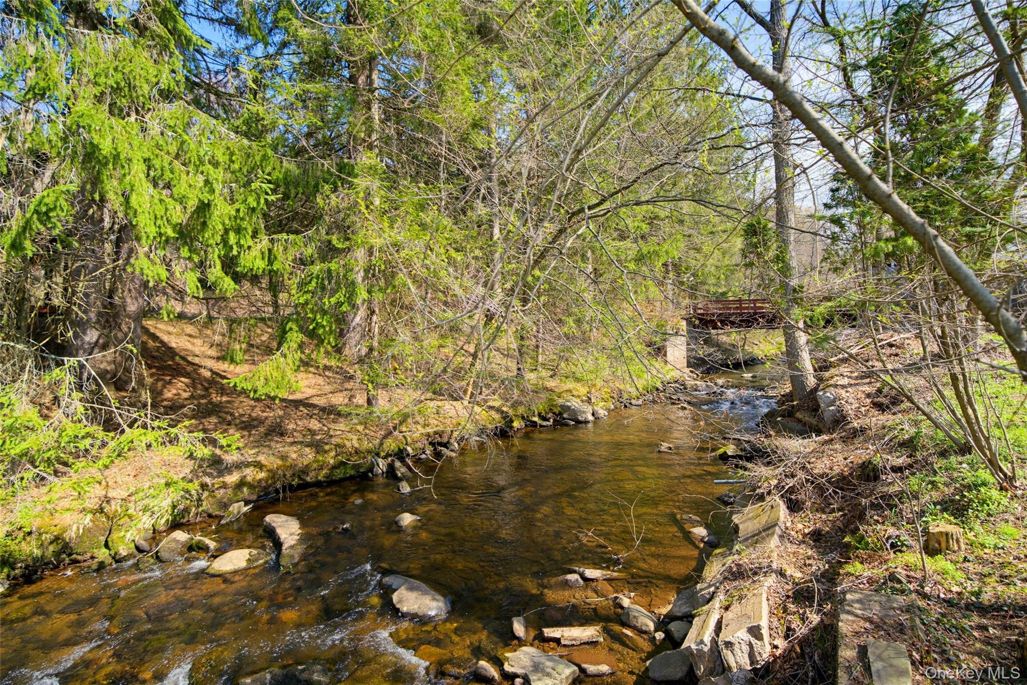 23 Cooley Road Parksville, NY 12768 - Photo 44 of 50
