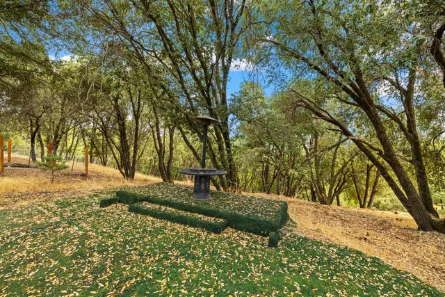 $423,000 | 10240 Ponderosa Way, Pine Grove, CA 95665