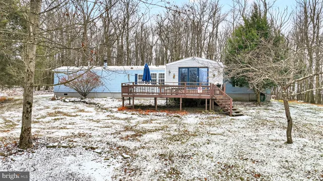 a view of a backyard with trees