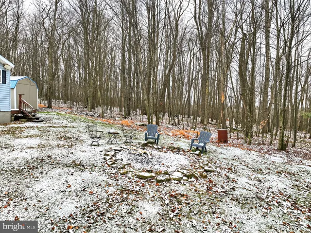 a view of a house with backyard and trees in the background