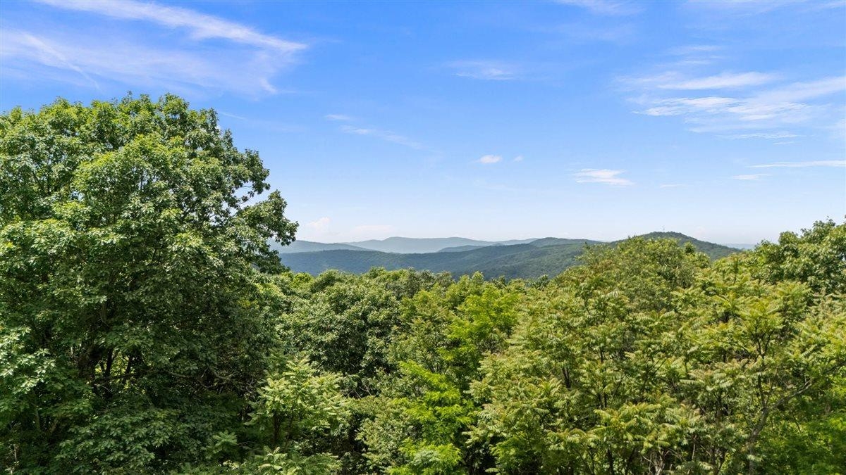 Lot 19-20 Hidden Hill Road Stanley, VA 22851 - Photo 6 of 20 Drone photo taken~30ft up at home site. Potential views without any clearing.