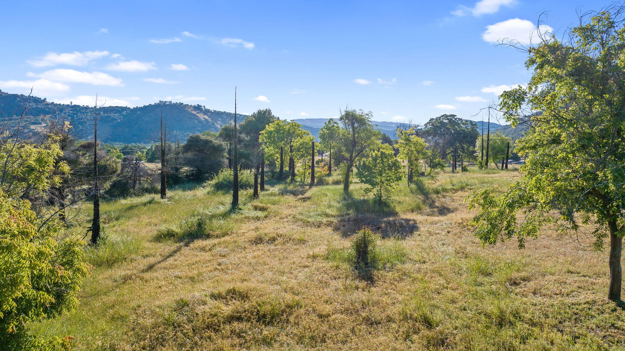 29478 Fallen Oak Road Tollhouse, CA 93667 - Photo 65 of 65 66-web-or-mls-DJI_20260422080511_0407_D