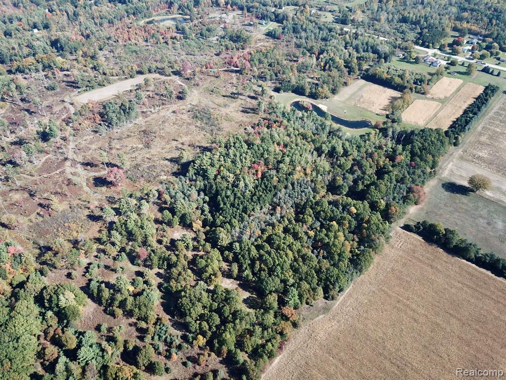12 Monroe Road Hart, MI 49420 - Photo 4 of 13
