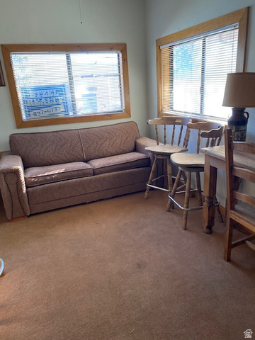 913 East 5300 North Helper, UT 84526 - Photo 17 of 29 Carpeted living room with healthy amount of natural light
