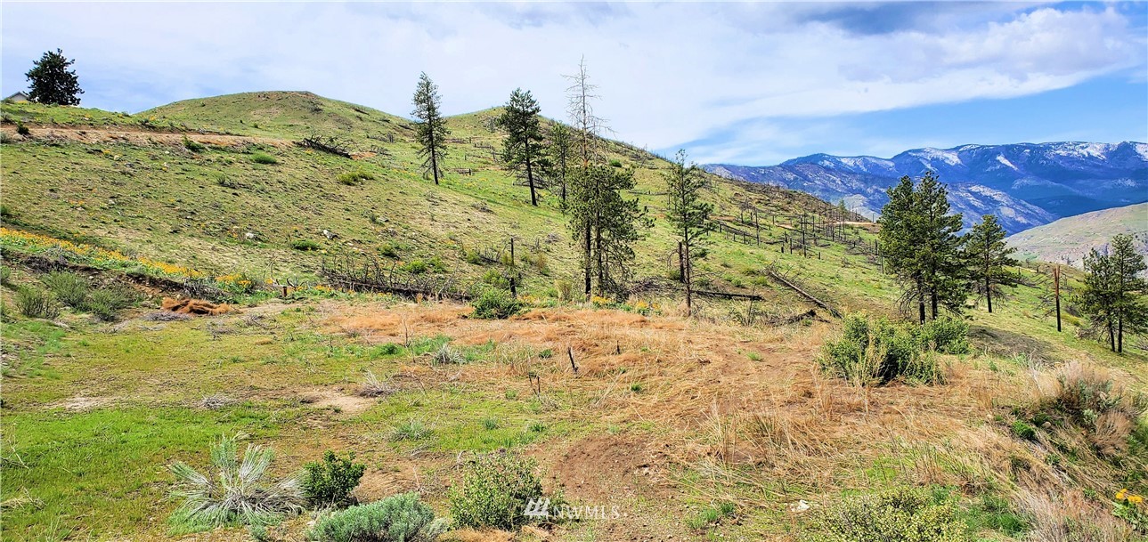 38 Cowboy Road, Unit 38 Pateros, WA 98846 - Photo 22 of 31