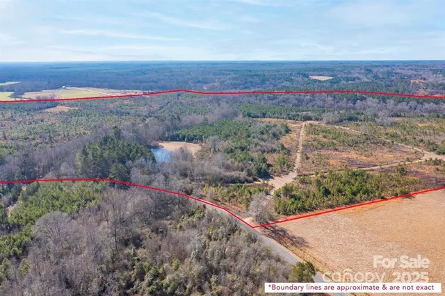 a view of a yard with outside area