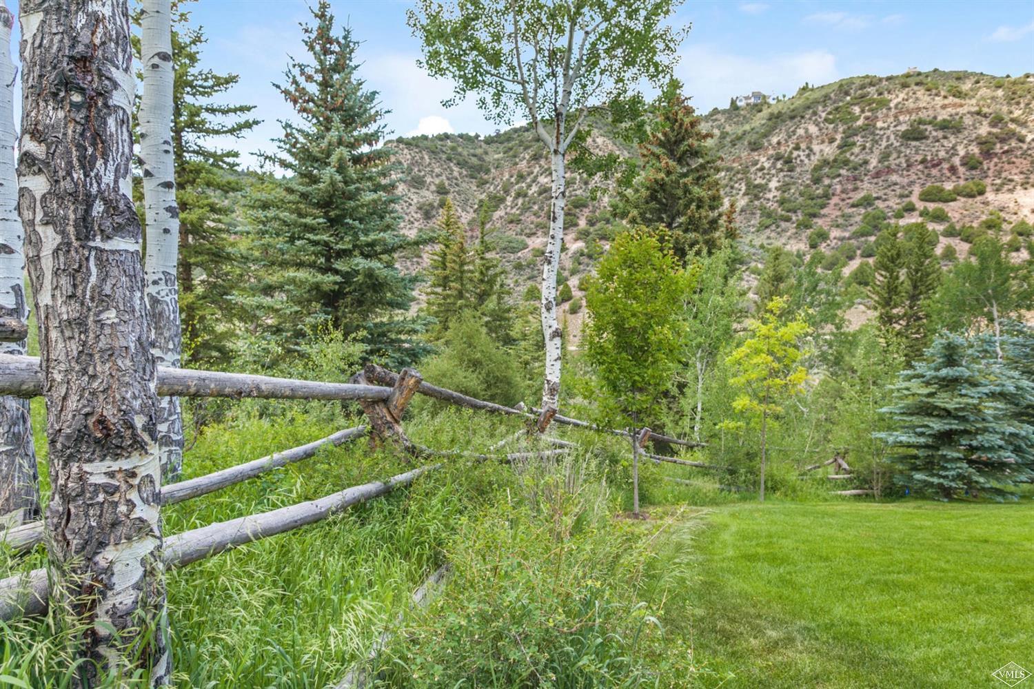 605 Andorra Road Edwards, CO 81632 - Photo 24 of 25 a view of a backyard