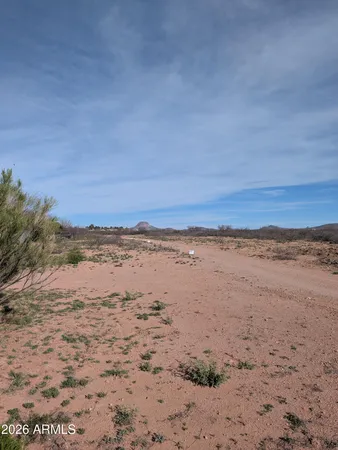 $14,300 | Lot 13 East 5th Street East, Unit 13, Douglas, AZ 85607