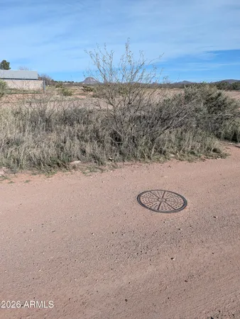 $14,300 | Lot 13 East 5th Street East, Unit 13, Douglas, AZ 85607