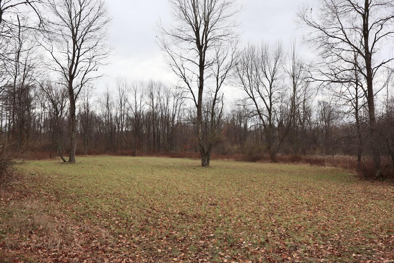 Hatton Road Farwell, MI 48622 - Photo 70 of 78 Gallery Image 70
