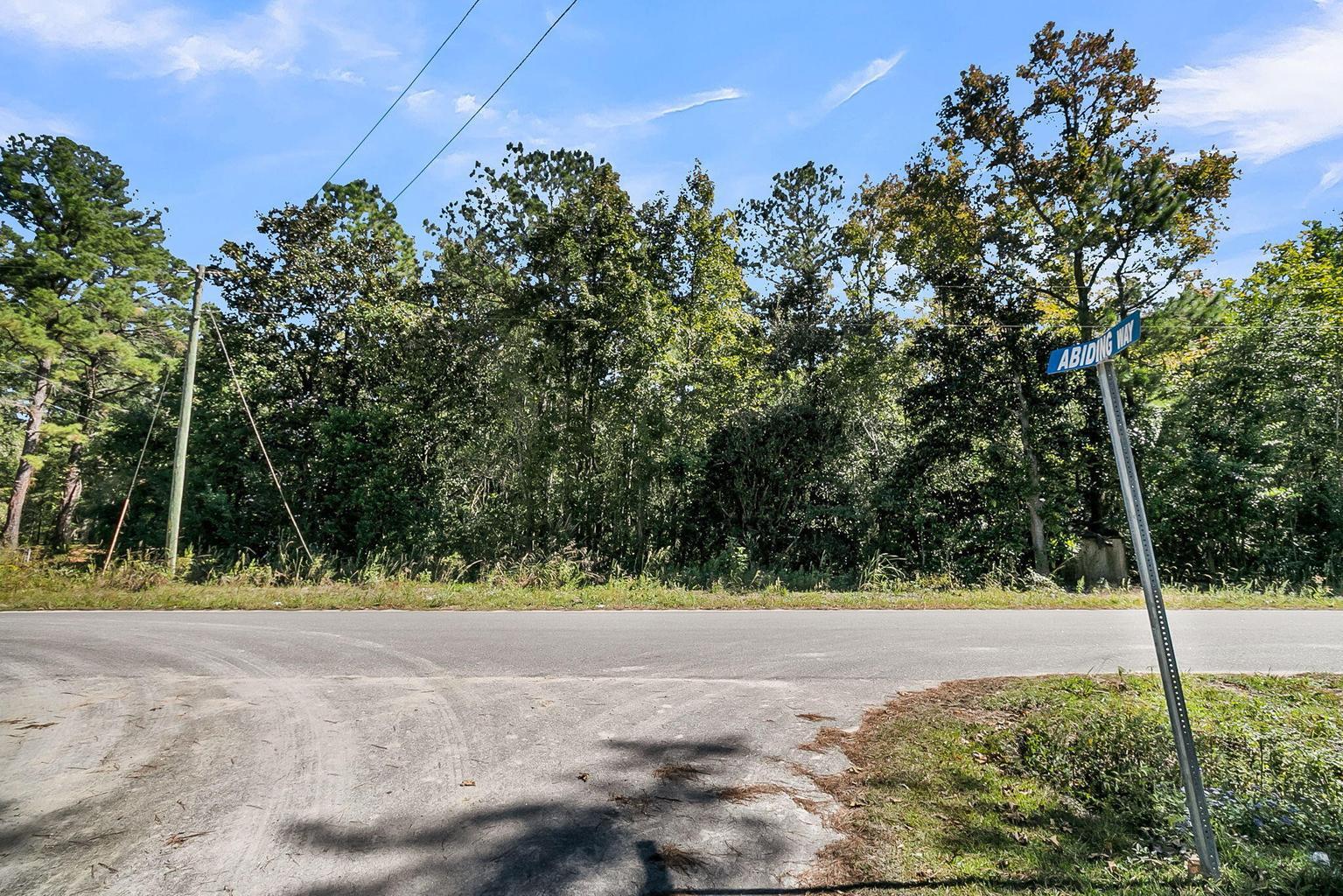 135 Jacob Piland Road Moncks Corner, SC 29461 - Photo 1 of 13 .