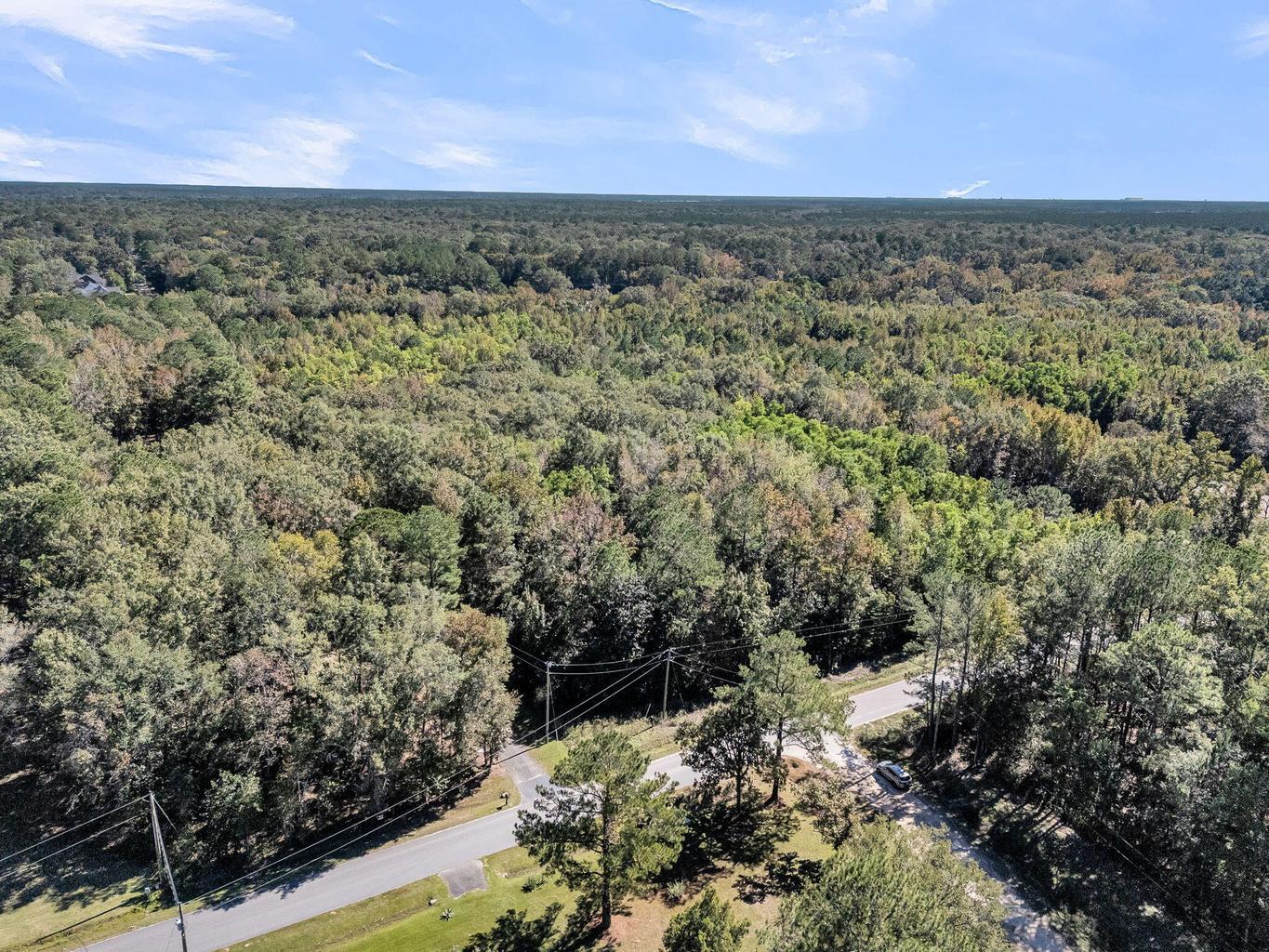 135 Jacob Piland Road Moncks Corner, SC 29461 - Photo 13 of 13 .