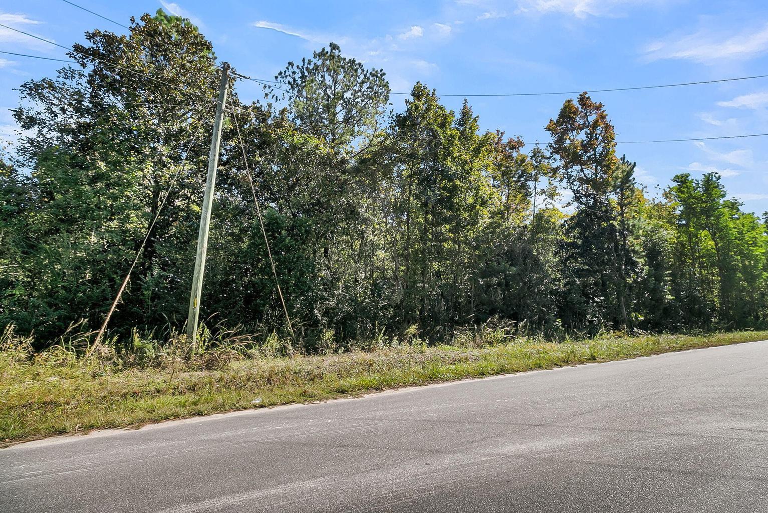 135 Jacob Piland Road Moncks Corner, SC 29461 - Photo 2 of 13 .