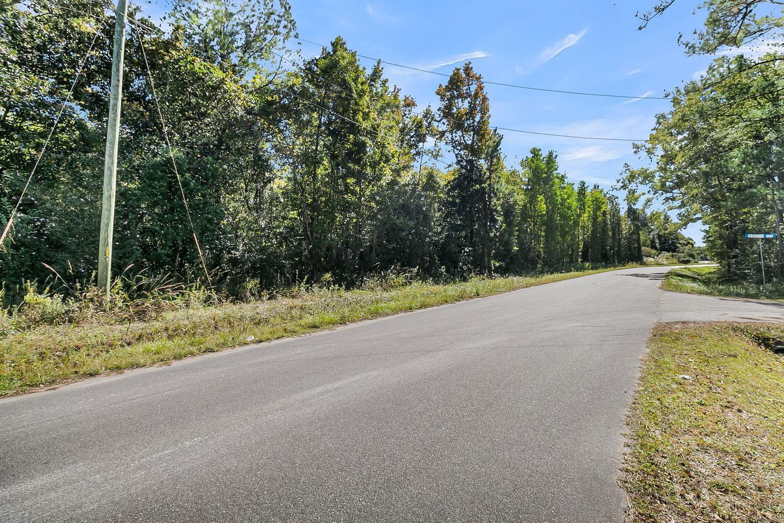 135 Jacob Piland Road Moncks Corner, SC 29461 - Photo 3 of 13 .
