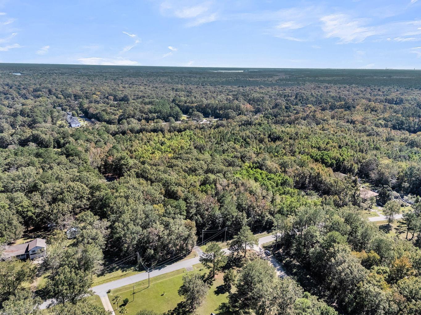 135 Jacob Piland Road Moncks Corner, SC 29461 - Photo 5 of 13 .