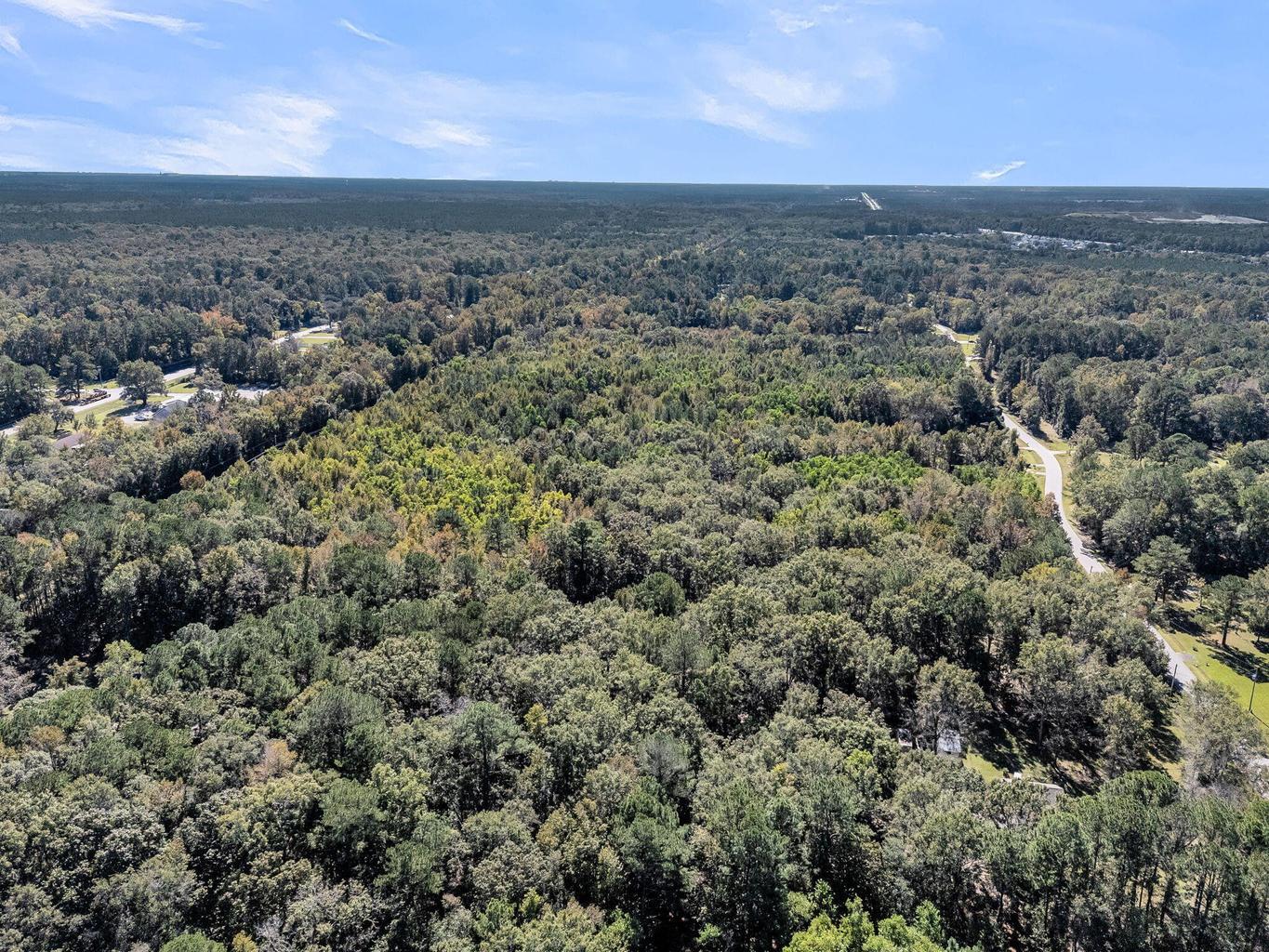135 Jacob Piland Road Moncks Corner, SC 29461 - Photo 6 of 13 .