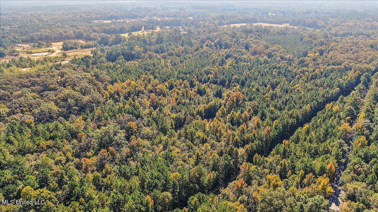 0 Cleary Road Florence, MS 39073 - Photo 11 of 25 11-00 Cleary Rd