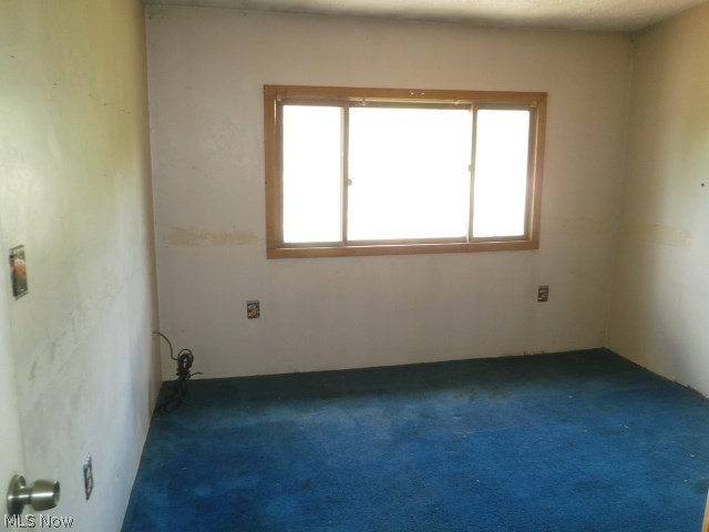 7733 North Ridge Road Madison, OH 44057 - Photo 20 of 25