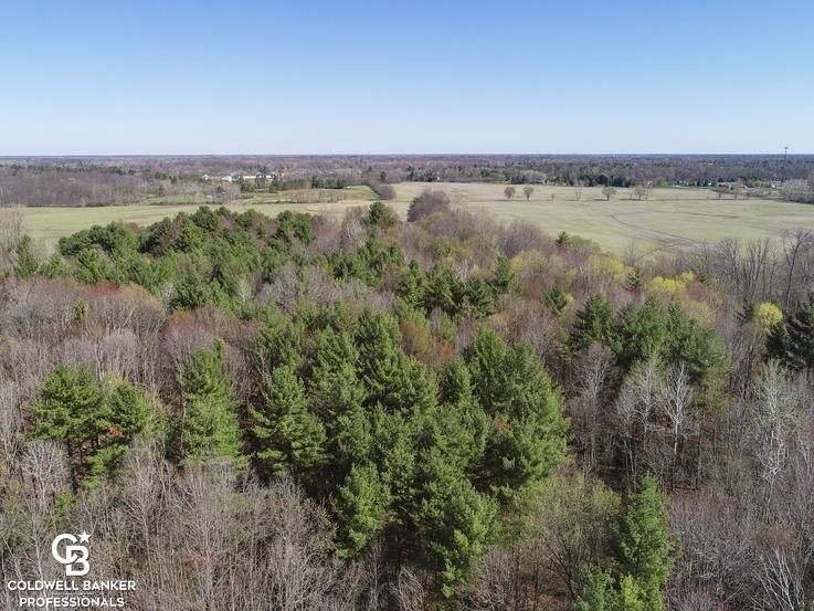 0 Rattle Run St. Clair, MI 48079 - Photo 4 of 23 60 Acres Wooded