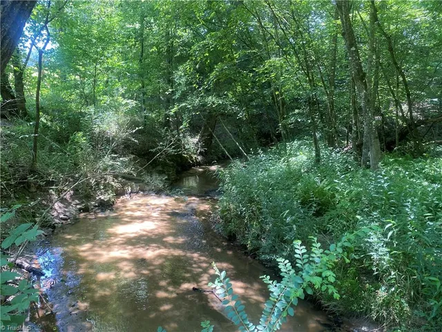 $44,900 | 3258 Red White And Blue Road, Roaring River, NC 28669