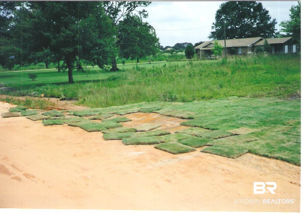 20414 Brinks Willis Road Foley, AL 36535 - Photo 2 of 7 Gallery Image 2