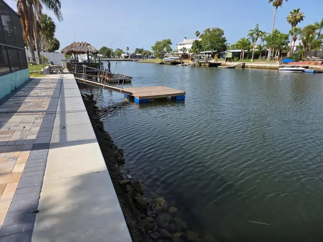 a view of a yard with plants