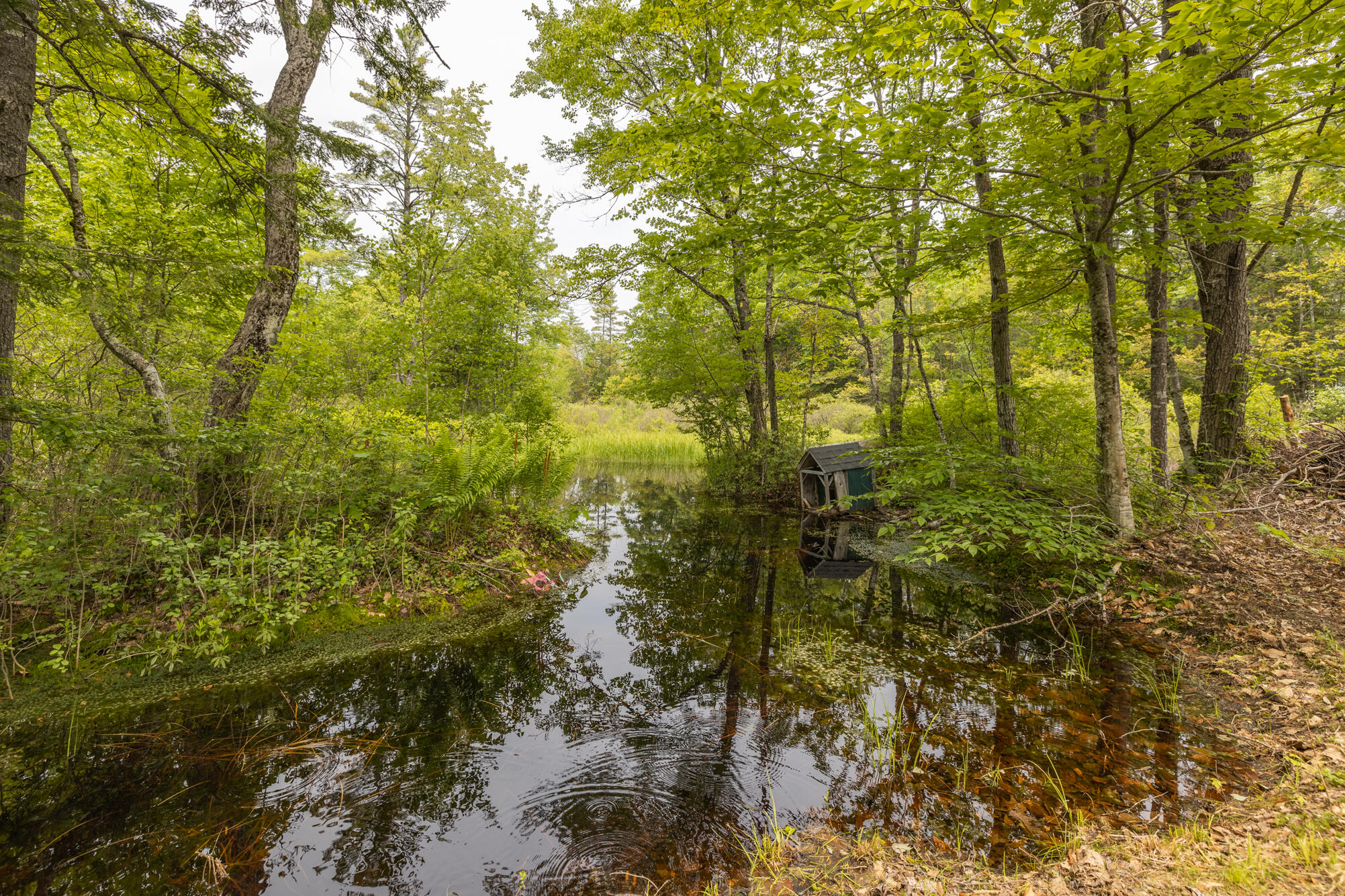 29 River Road West Baldwin, ME 04091 - Photo 26 of 32 6I3A8465-HDR